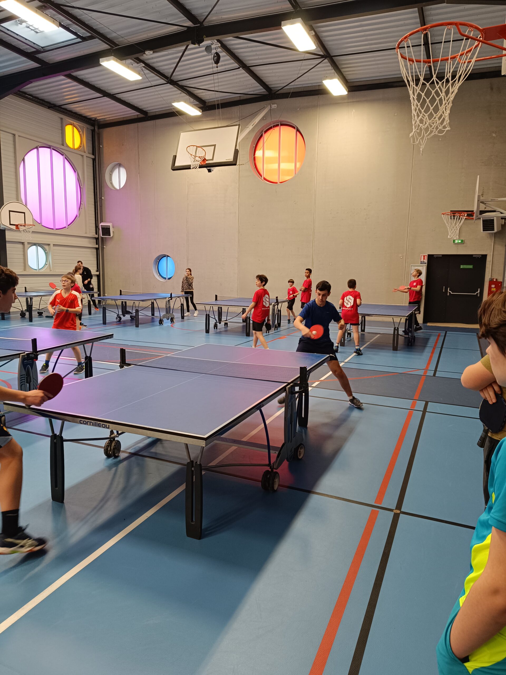 Ensemble Complet De Tennis De Table Westminster Sports - Vintage, Scellé D'usine (neuf)