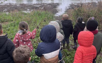 Sortie nature pour les élèves de maternelle…